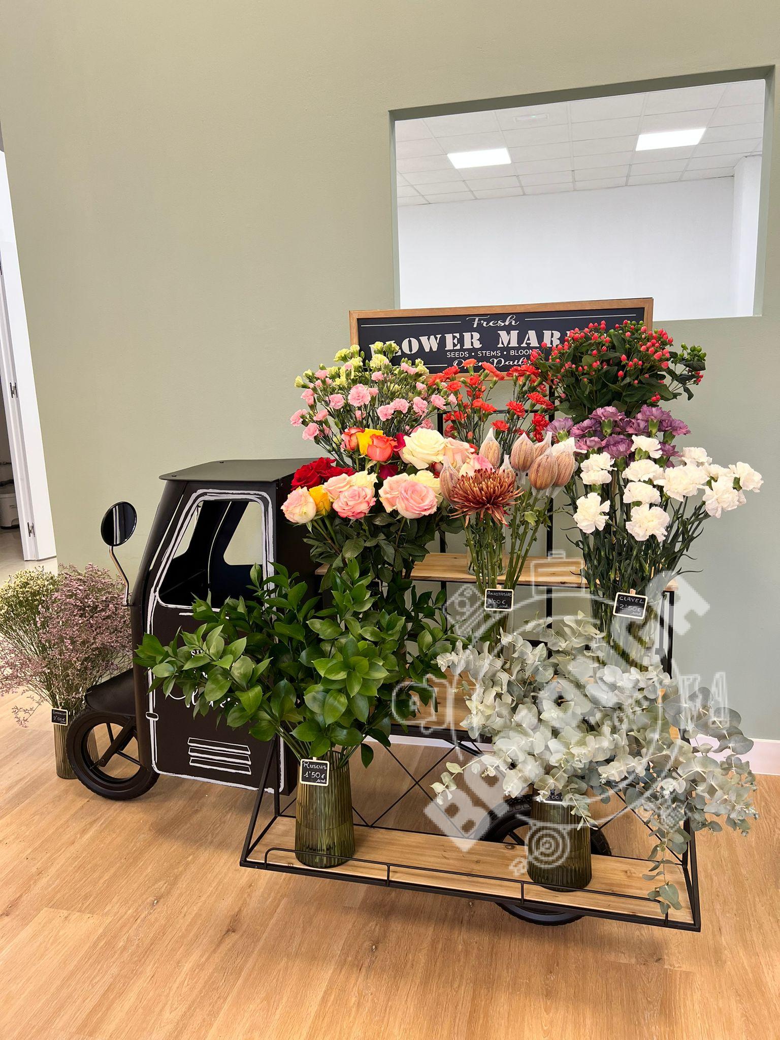 LA CASA DE LAS FLORES ALVARADO GUEDES